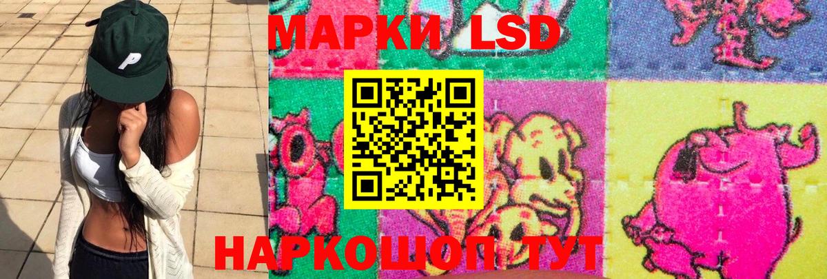 Лсд 25 экстази ecstasy  Вход с VPN  Ногинск 